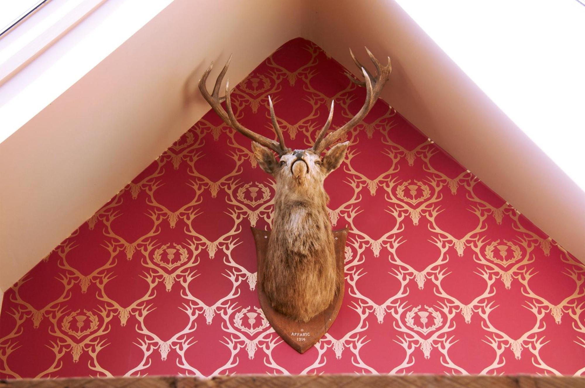 The Museum Inn Farnham  Extérieur photo